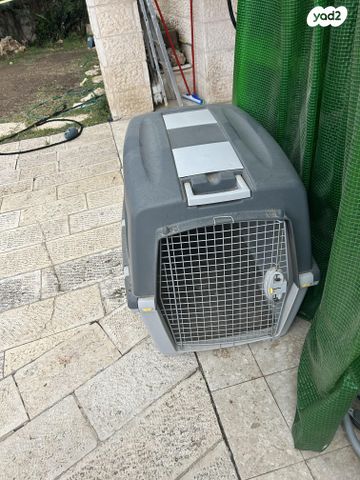 תמונת מודעה - חיות מחמד