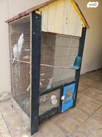 תמונת מודעה - חיות מחמד