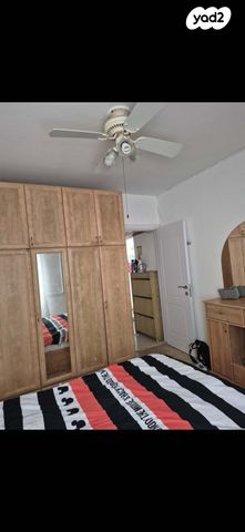 דוד אלעזר 865