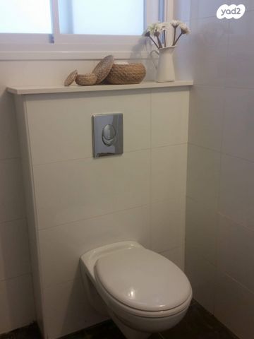 אריות הגולן 1