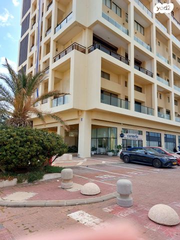 אלי לנדאו 12