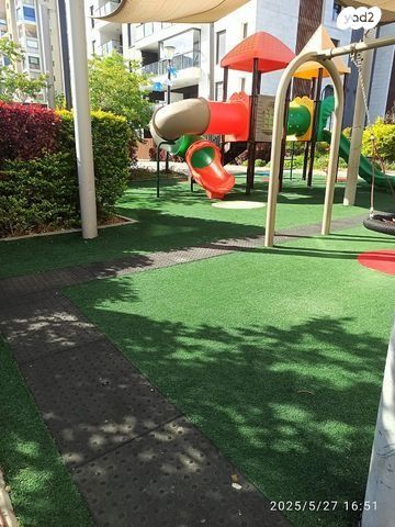 הזית 