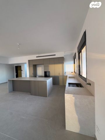 גג/ פנטהאוז