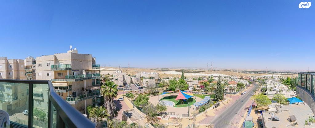 פרופסור אברהם אמיר 