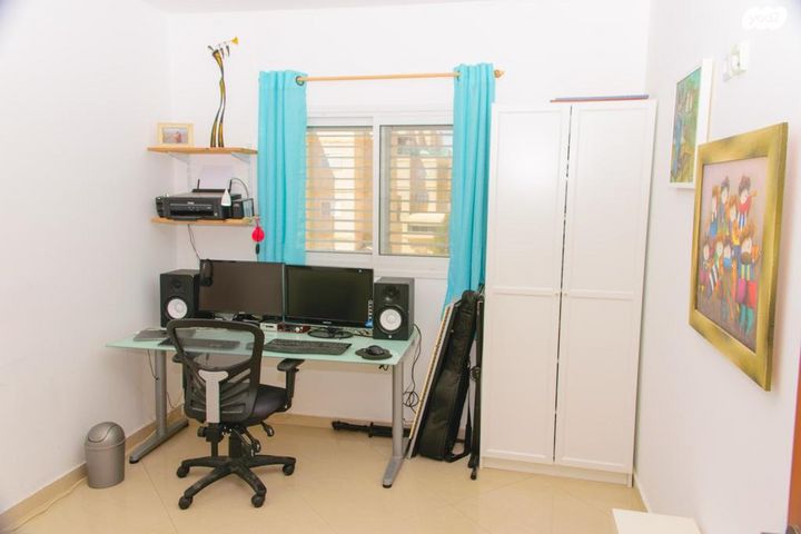 פרופסור אברהם אמיר 