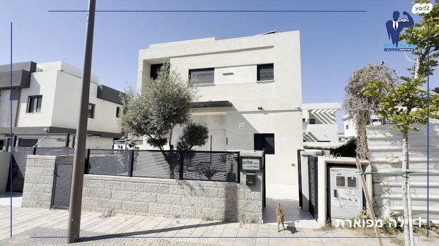 סשה ארגוב 112