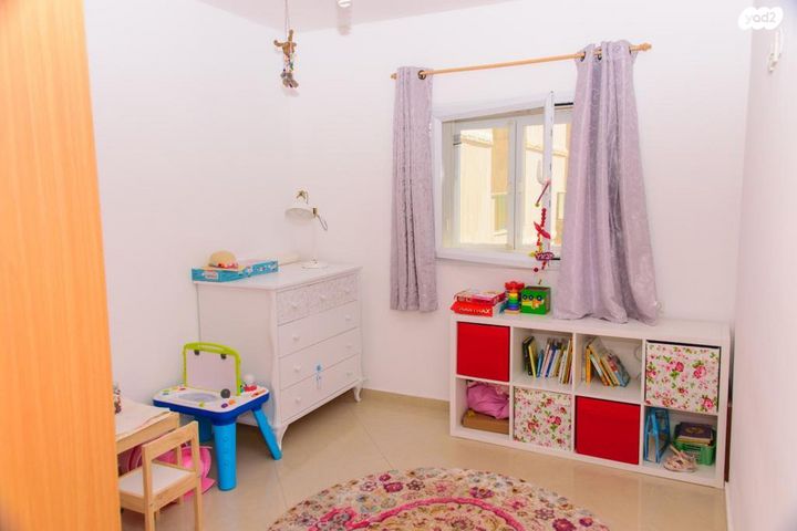 פרופסור אברהם אמיר 