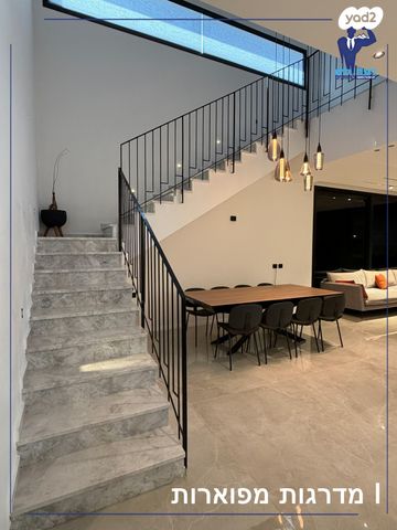 סשה ארגוב 112