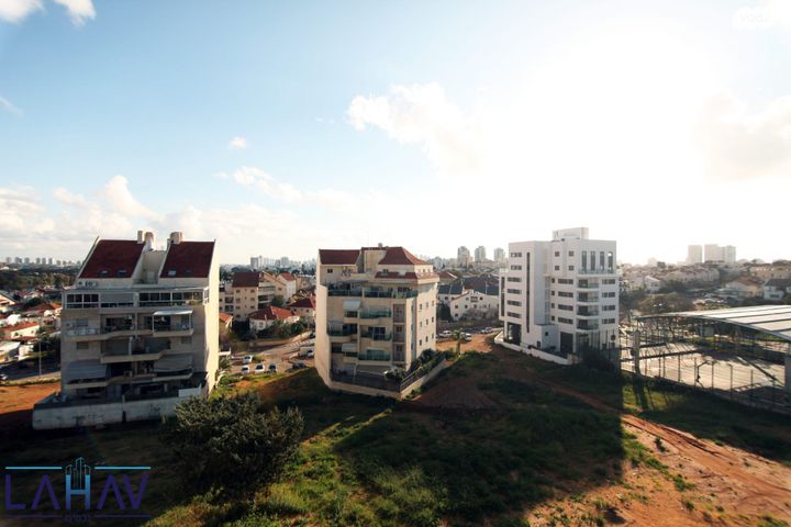 פרופסור שור 