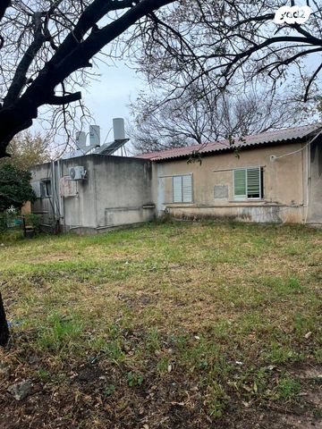 רחבת הגרעינים 