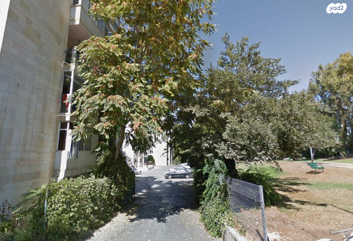 נחום ליפשיץ 