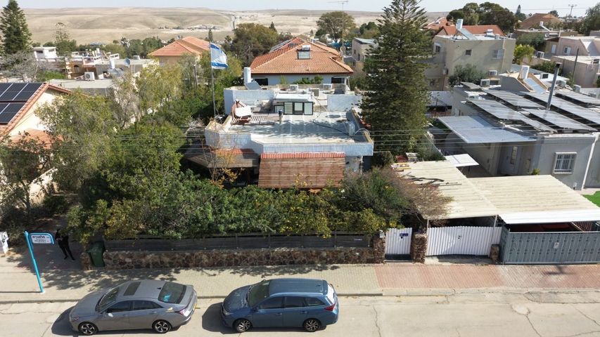 חלמונית 