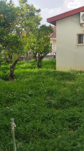 מרכז פרדס חנה