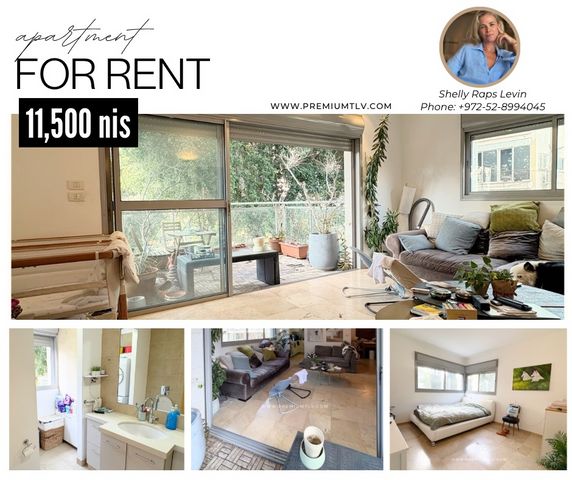 הצפון החדש - דרום