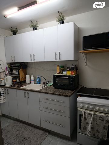 צלילי חנינא 