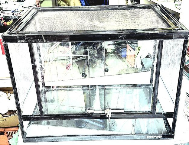 תמונת מודעה - חיות מחמד