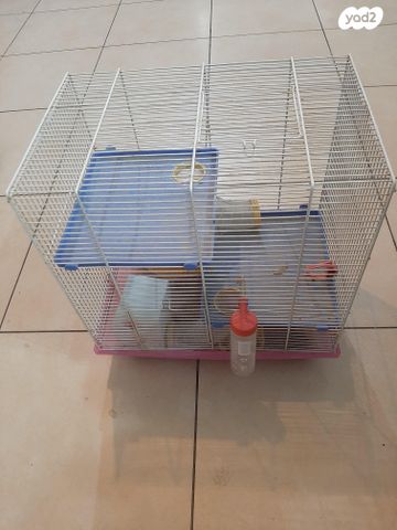 תמונת מודעה - חיות מחמד