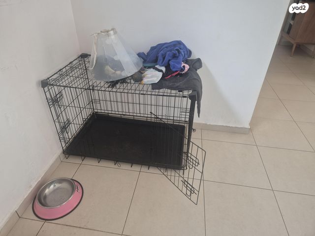 תמונת מודעה - חיות מחמד