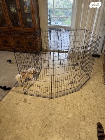 תמונת מודעה - חיות מחמד