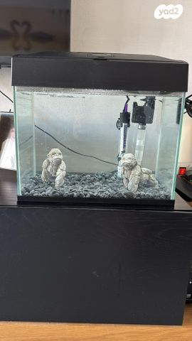 תמונת מודעה - חיות מחמד