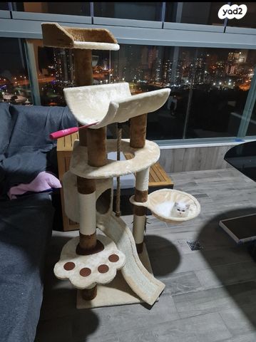 תמונת מודעה - חיות מחמד