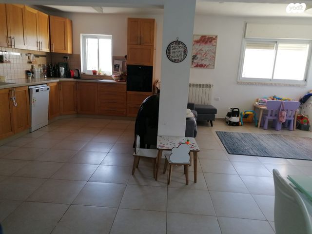 מאיר גרונולד 2