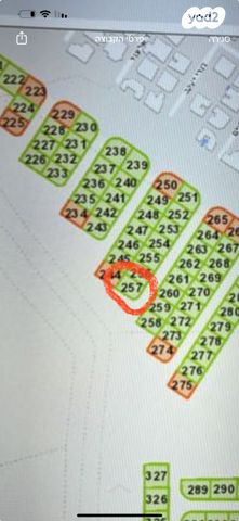 חיים בר לב 2