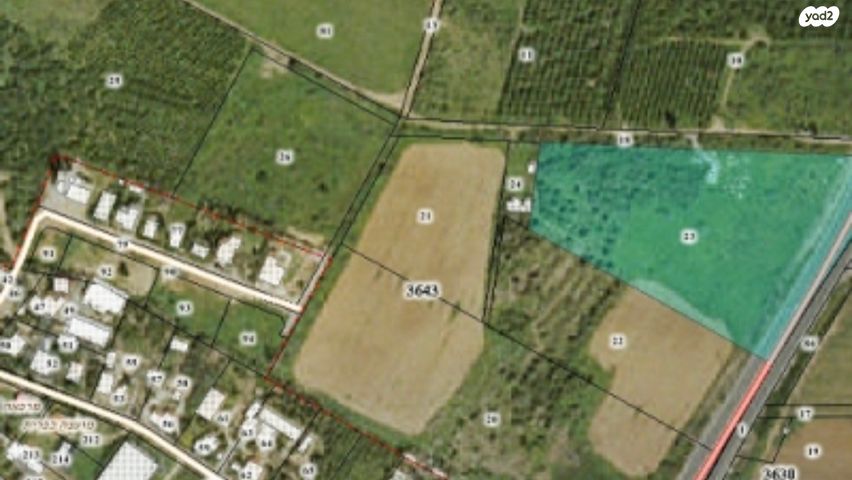 יעקב פריימן 1