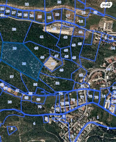 כליל החורש 1