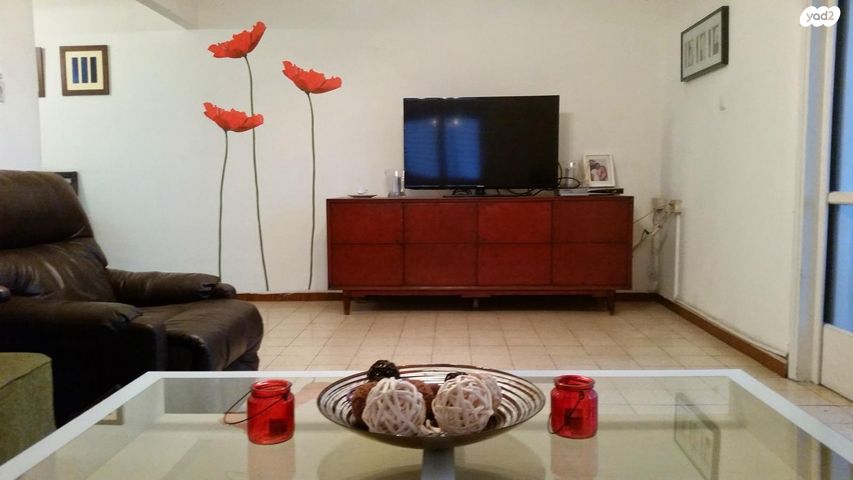 דוד וולפסון 30