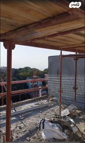 דרך פרויד 22