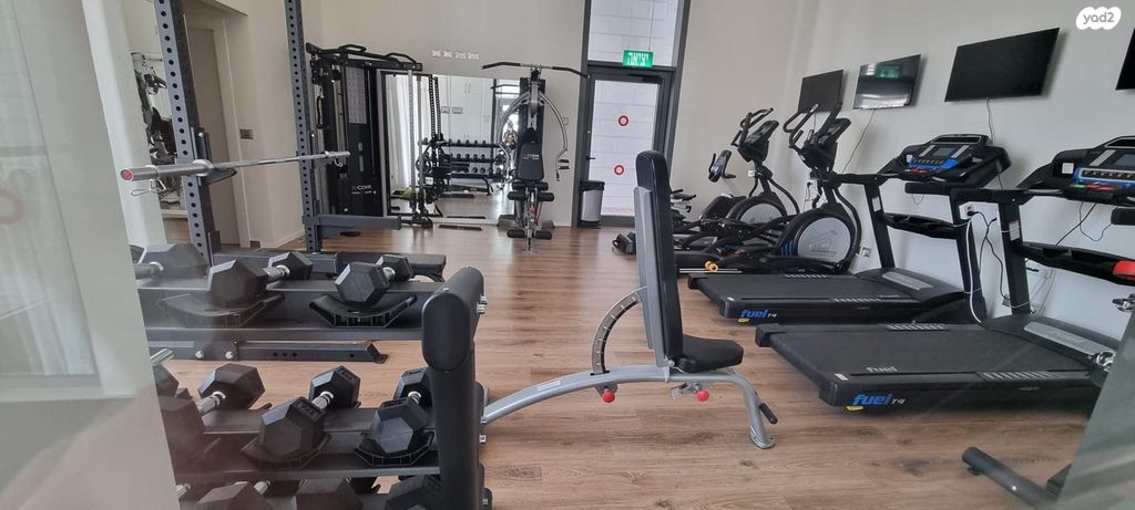 יצחק שמיר 13