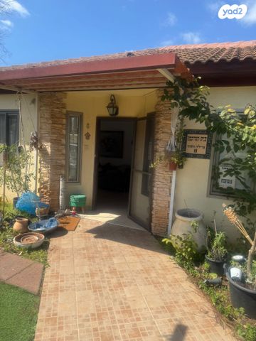 איילת השחר 11