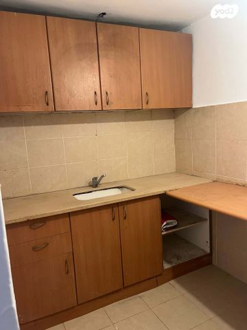 יהודה הלוי 20