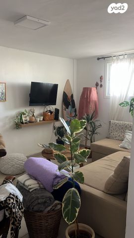 דרך האורן 39