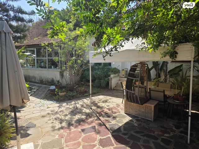 הנשיא יצחק בן צבי 