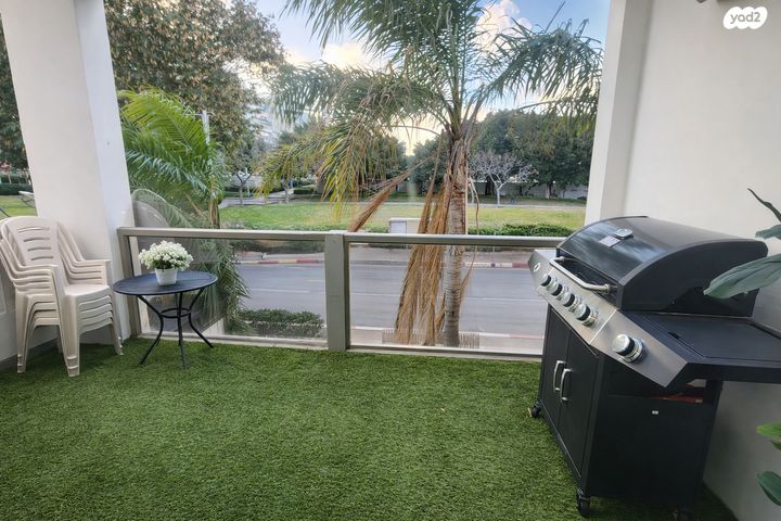 דוד וולפסון 