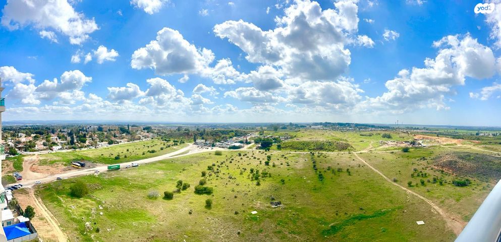 שדרות מקס ואמפרו שיין 