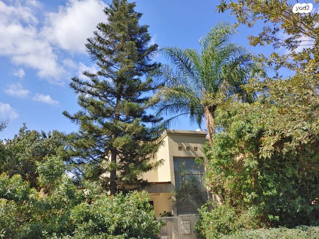 מתחם 19 - 20 (מתחם הפרחים)