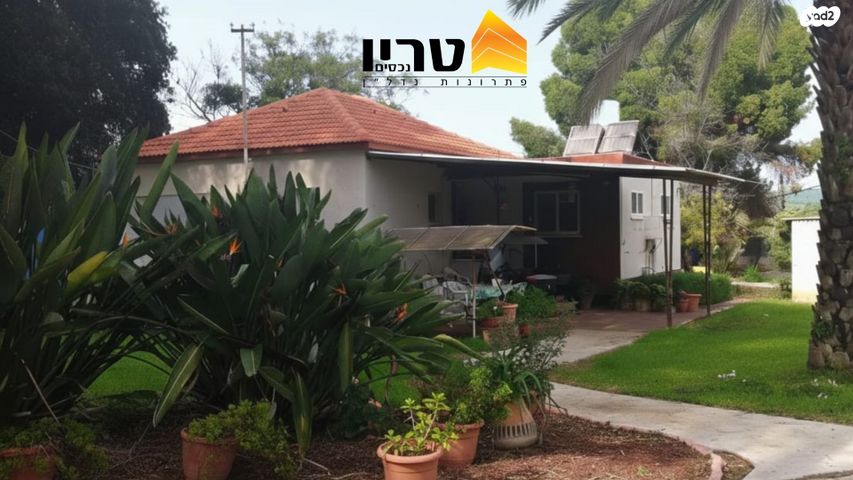 שדרת הפיקוסים 