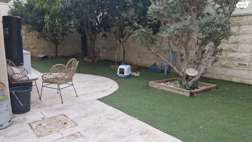 נווה דוד רמז