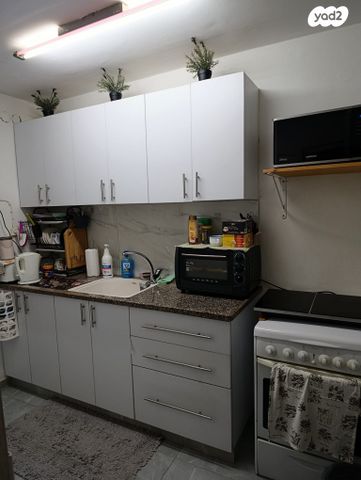 מעפילי אגוז 4