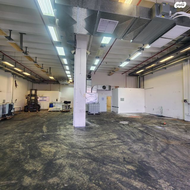 דרך גד פיינשטיין 