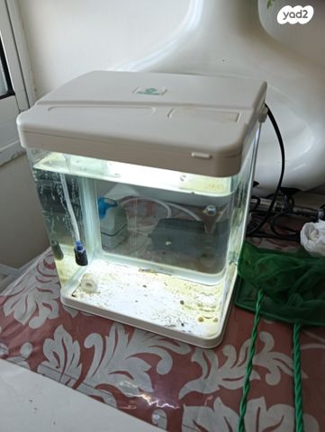 תמונת מודעה - חיות מחמד