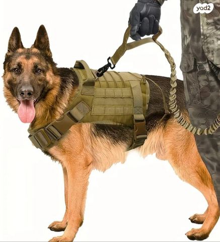 תמונת מודעה - חיות מחמד