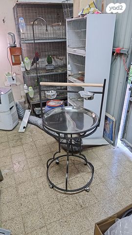 תמונת מודעה - חיות מחמד