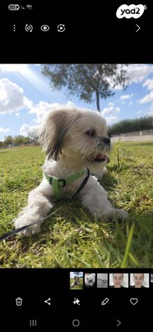 תמונת מודעה - חיות מחמד