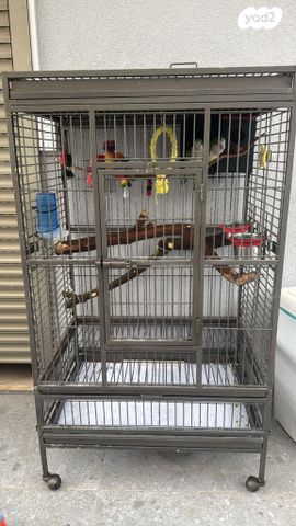 תמונת מודעה - חיות מחמד