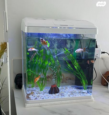 תמונת מודעה - חיות מחמד