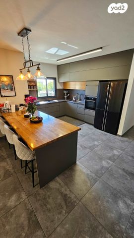 עץ המשאלות 17